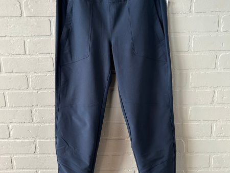 Athletic Pants By Avalanche In Blue, Size: 12 Sale