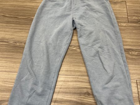 Athletic Pants By American Eagle In Blue, Size: Xs Online now