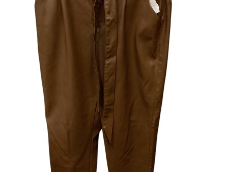 Pants Other By Lucy Paris In Brown, Size: M Sale