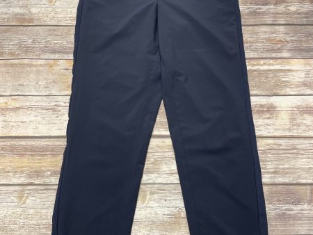 Athletic Pants By Te Verde In Grey, Size: M Sale