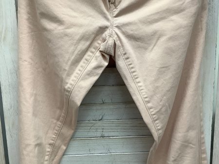 Pants Other By Loft In Pink, Size: 0 For Sale