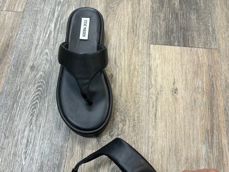 Sandals Flip Flops By Steve Madden In Black, Size: 9.5 Hot on Sale