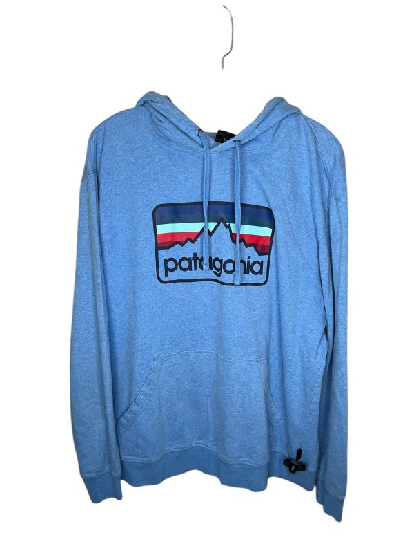 Athletic Sweatshirt Hoodie By Patagonia In Blue, Size: L Online