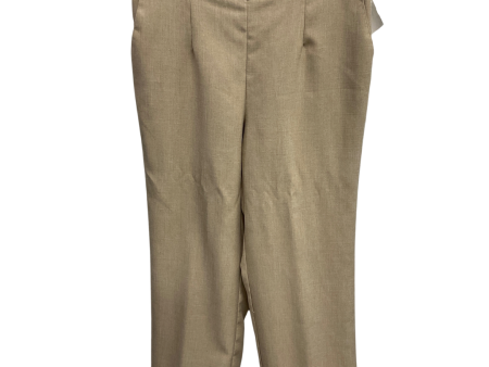 Pants Chinos & Khakis By Alfred Dunner In Tan, Size: 16 on Sale